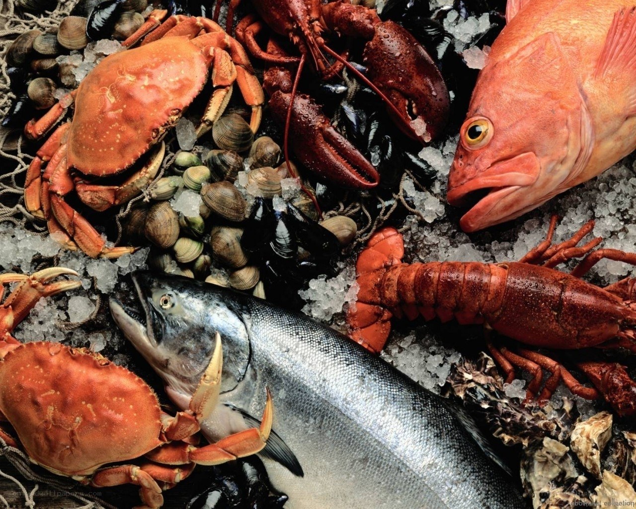 Fresh seafood on ice
