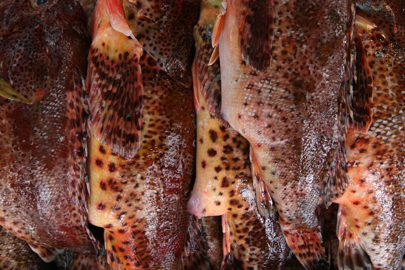 Fresh spotted fish at market