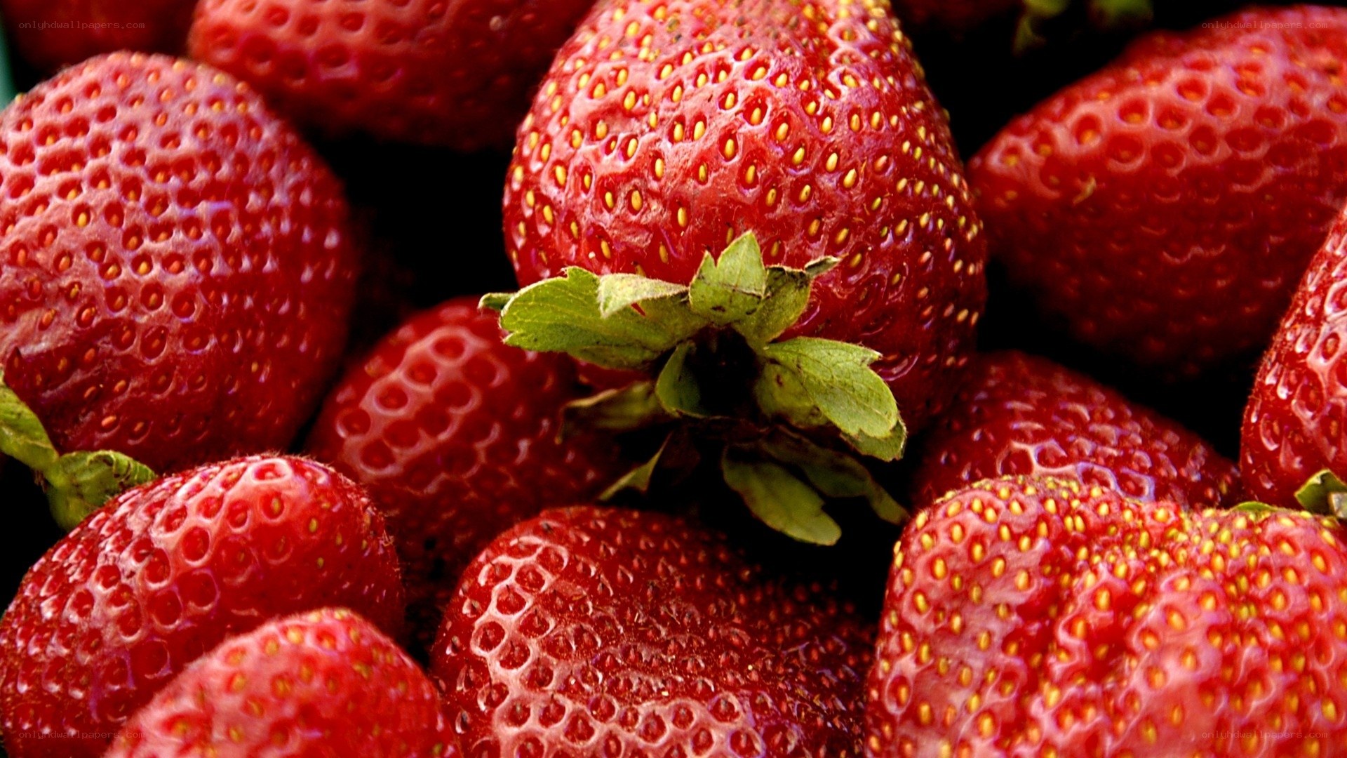 Fresh strawberries close-up