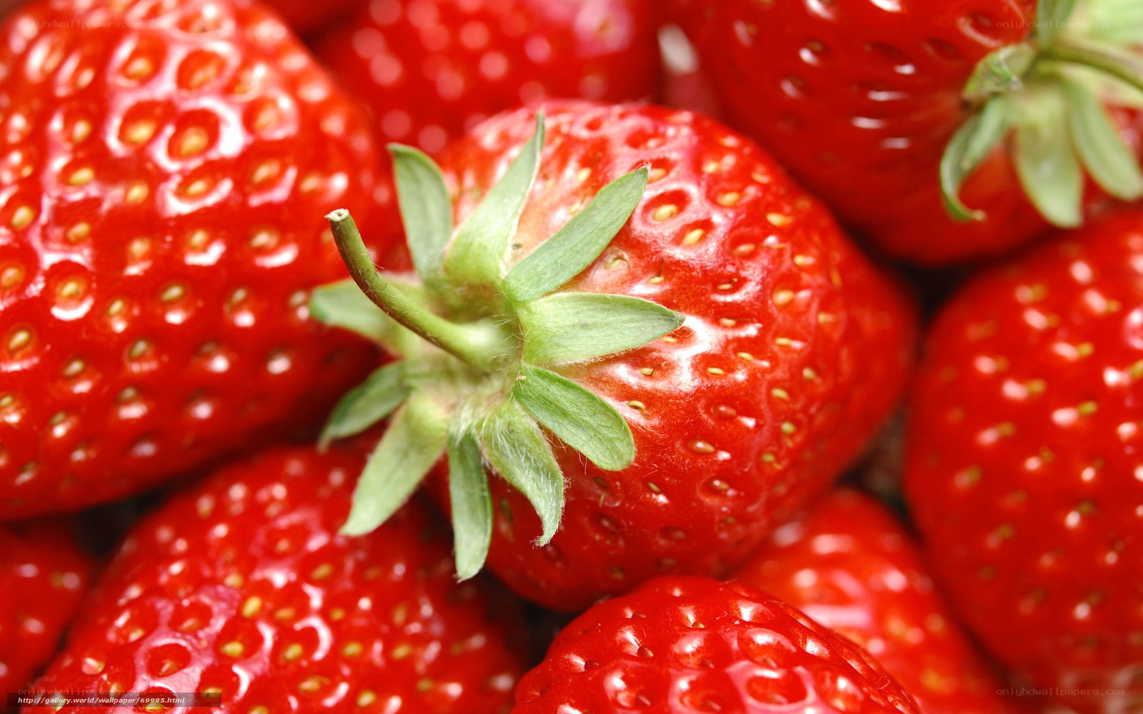 Fresh strawberries close-up