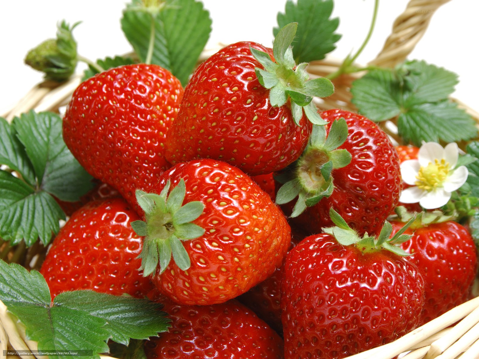 Fresh strawberries in a basket