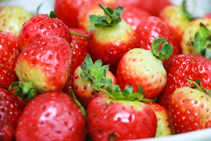 Fresh strawberries in a bowl