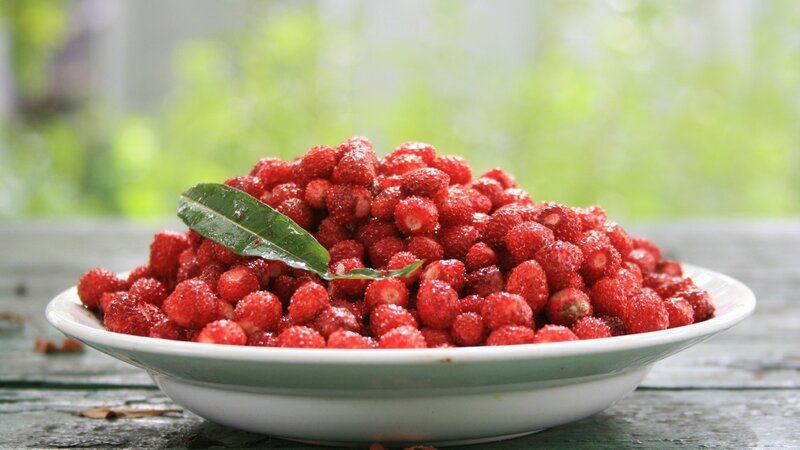 Fresh strawberries in a bowl