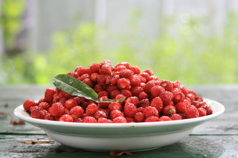 Fresh strawberries in a bowl