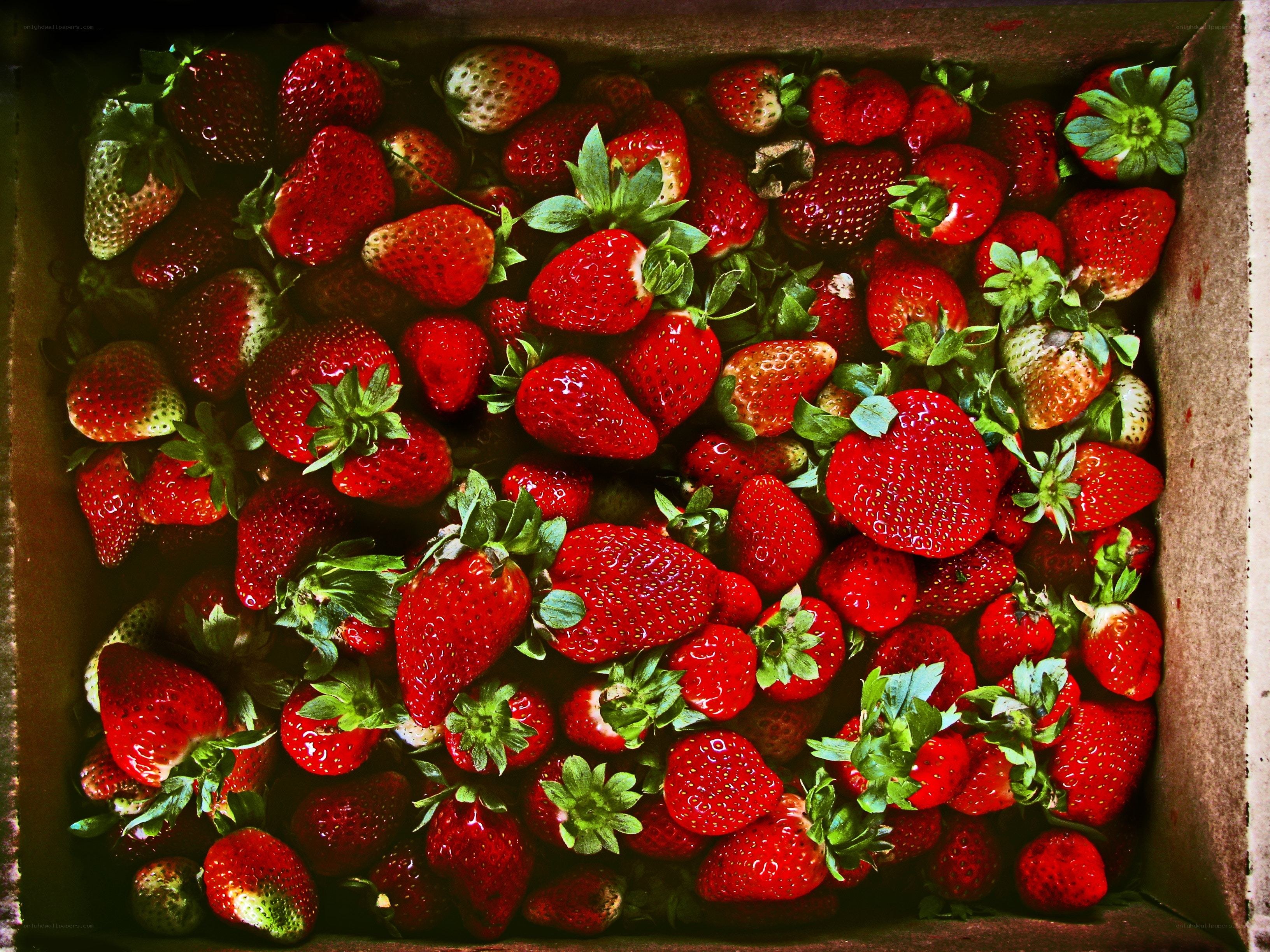 Fresh strawberries in a box