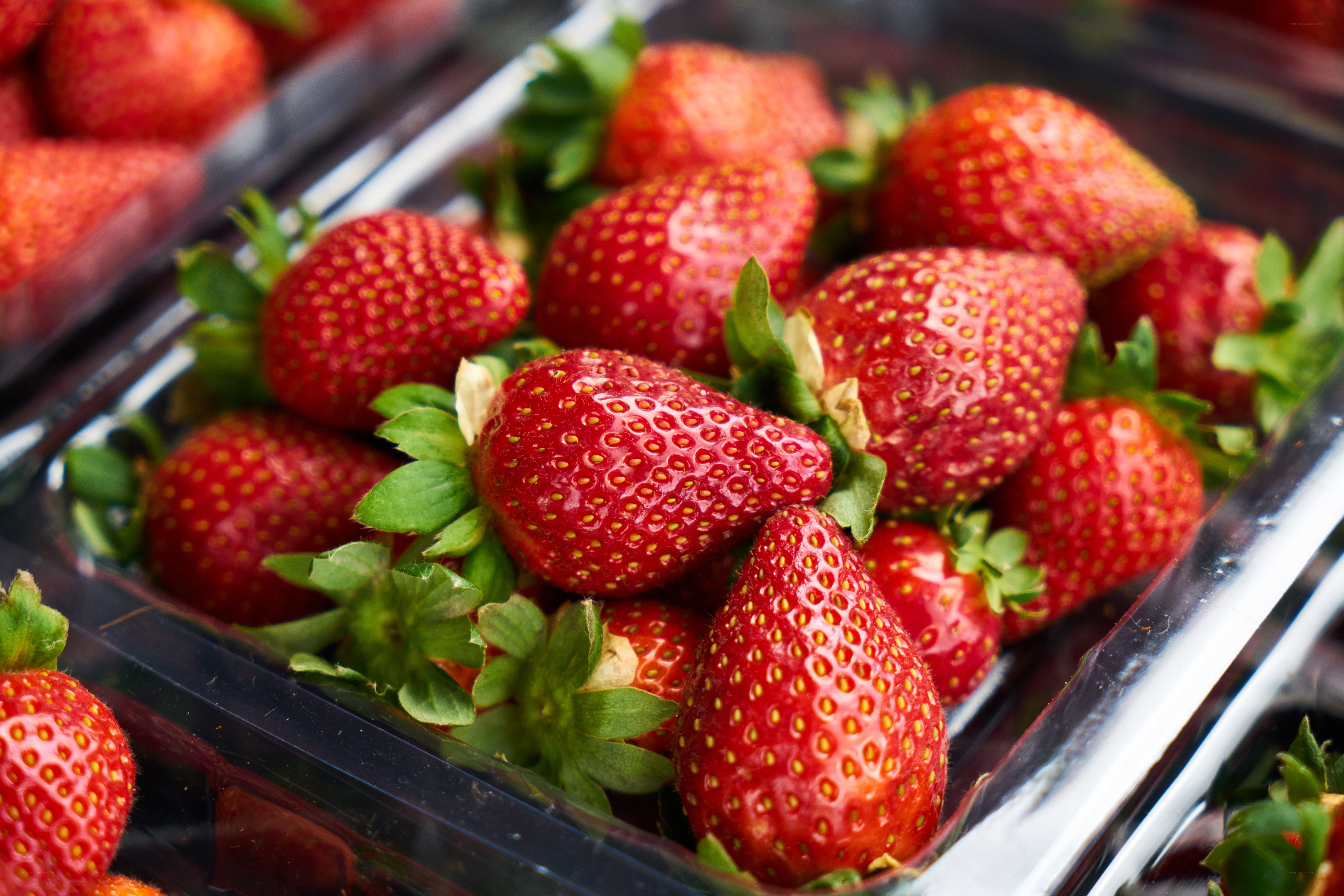 Fresh strawberries in a container