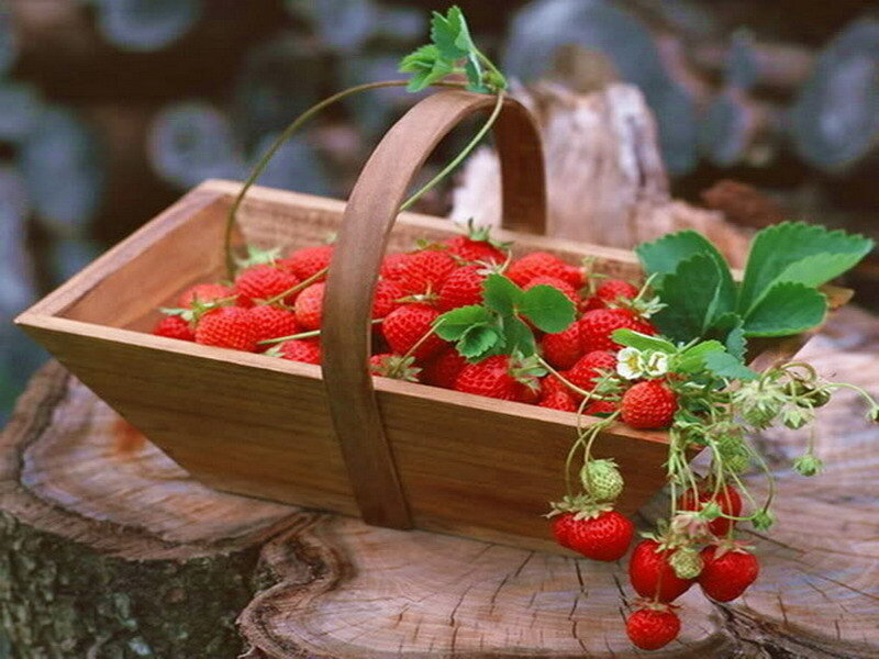 Fresh strawberries in a wooden basket