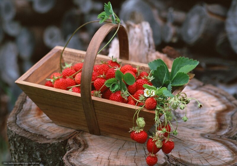 Fresh strawberries in a wooden basket