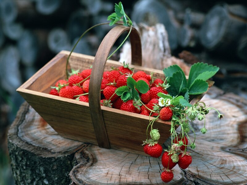 Fresh strawberries in a wooden basket