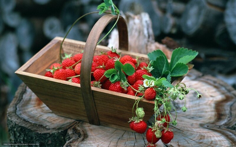 Fresh strawberries in a wooden basket