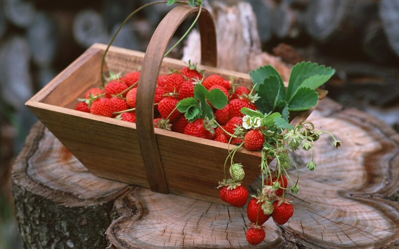 Fresh strawberries in a wooden basket