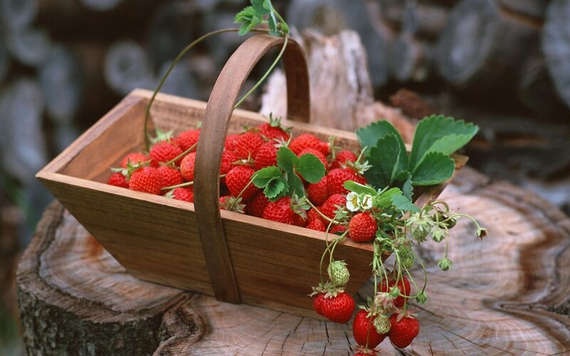 Fresh strawberries in a wooden basket