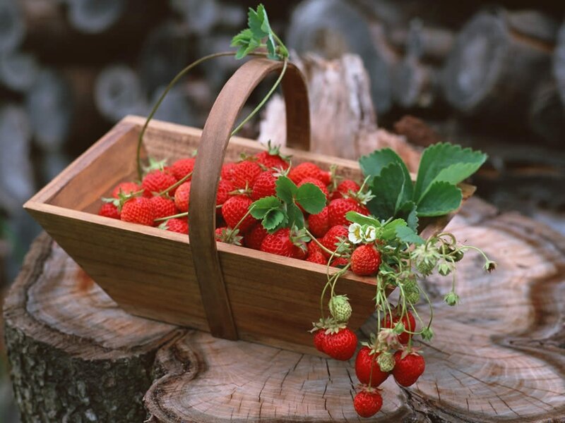 Fresh strawberries in a wooden basket