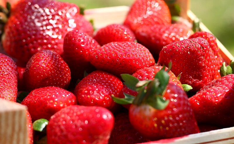 Fresh Strawberries in Basket — Red, Natural, Afternoon, Photograph
