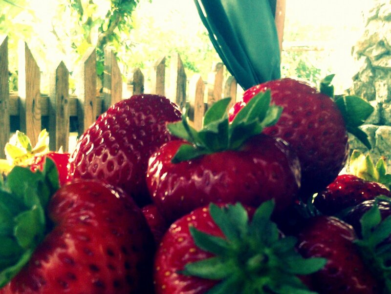 Fresh Strawberries in Basket — Red, Natural, Afternoon