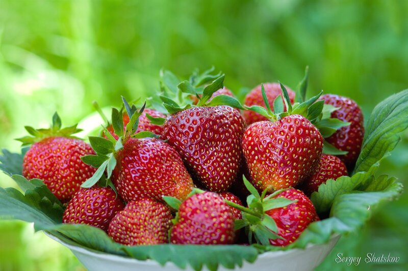 Fresh Strawberries in Bowl — Red, Natural