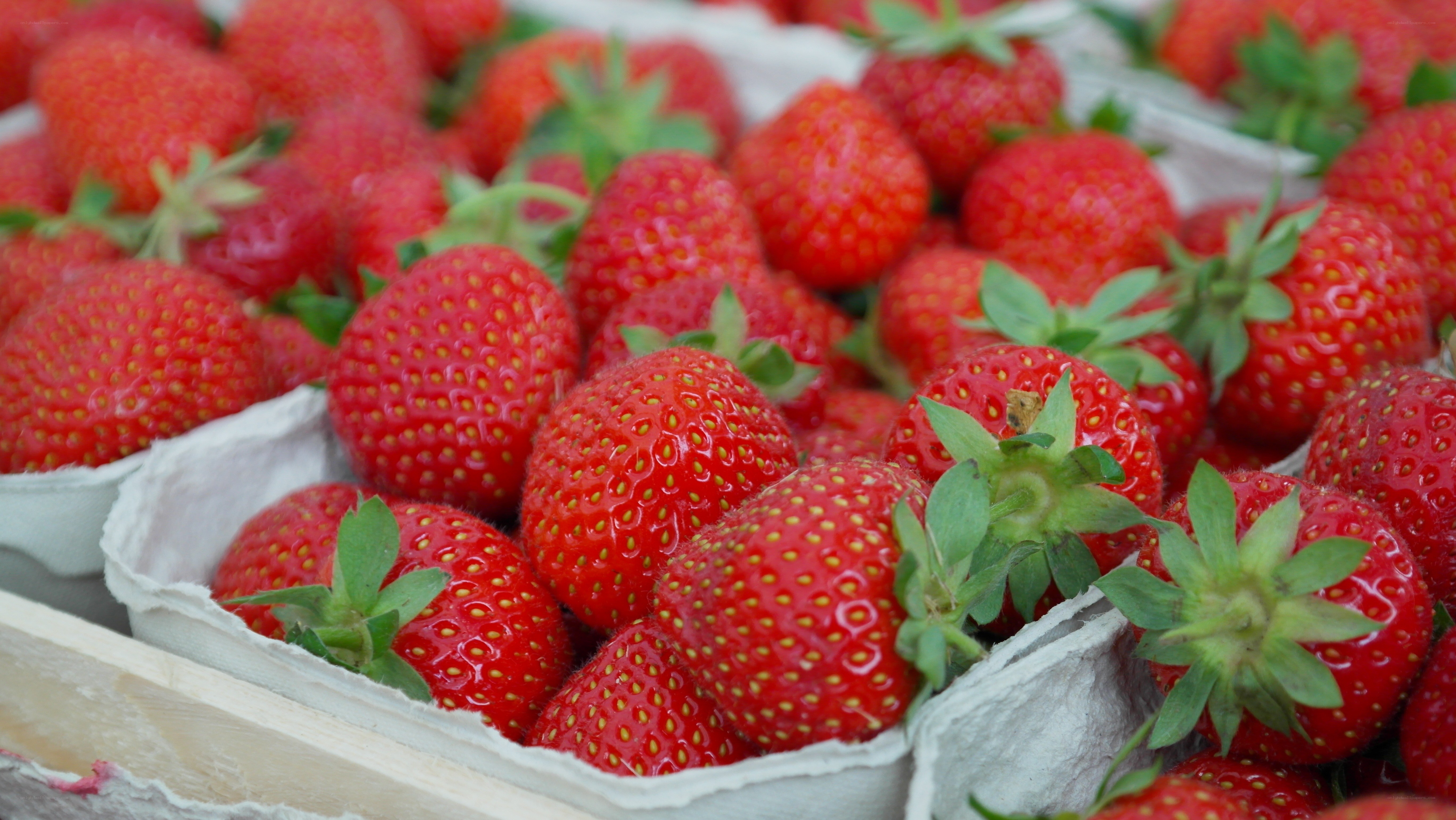 Fresh strawberries in cartons