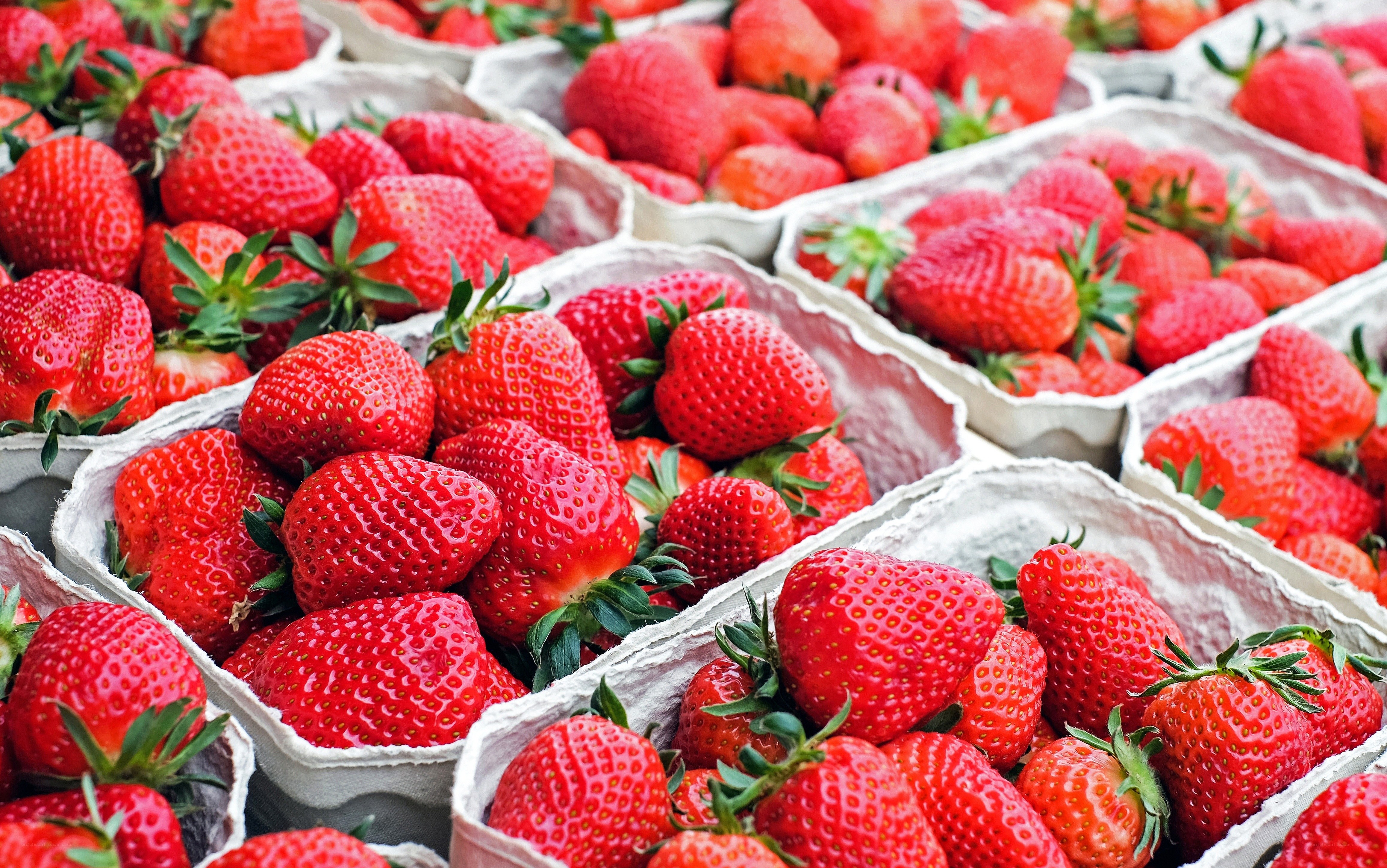 Fresh strawberries in containers