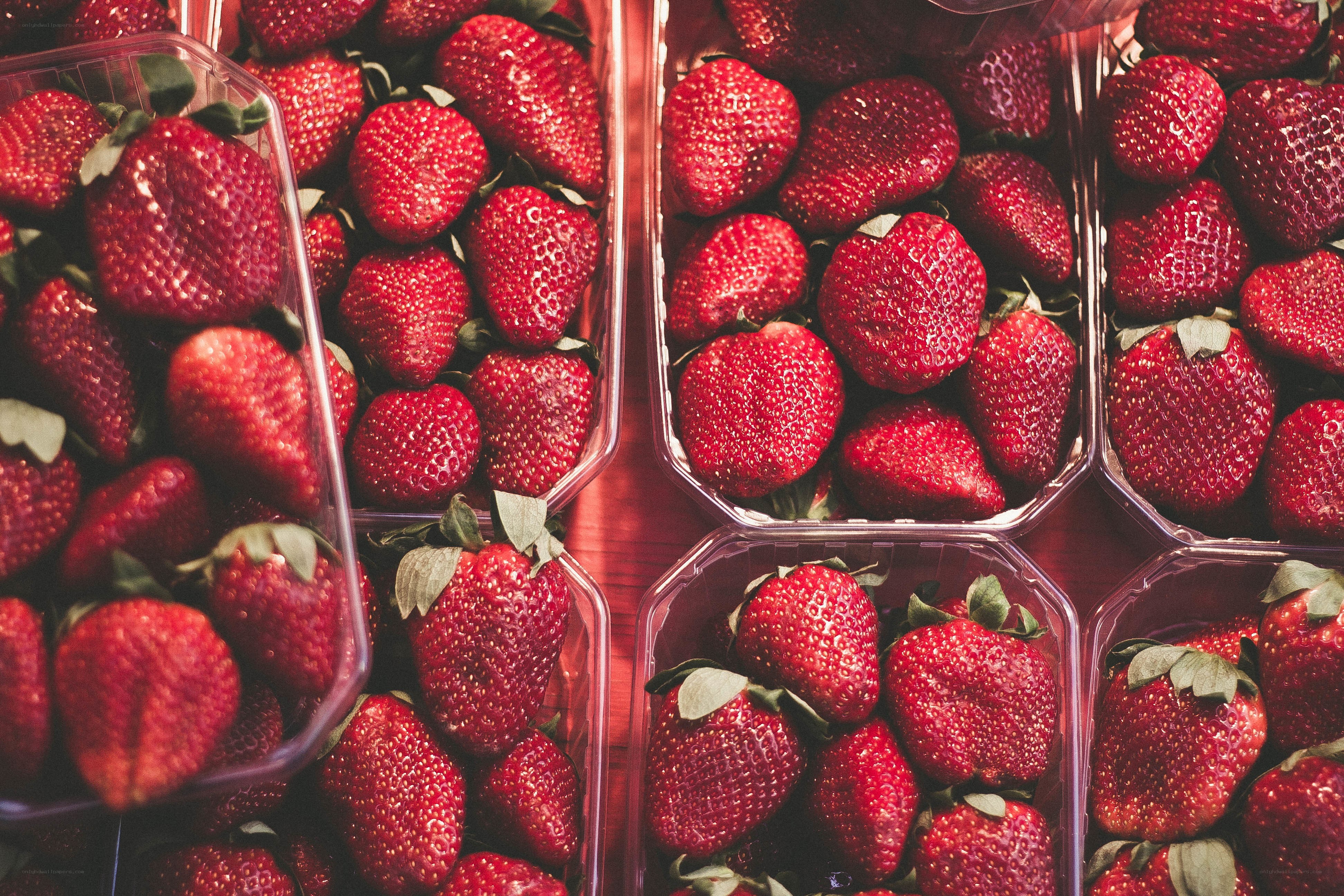 Fresh strawberries in containers