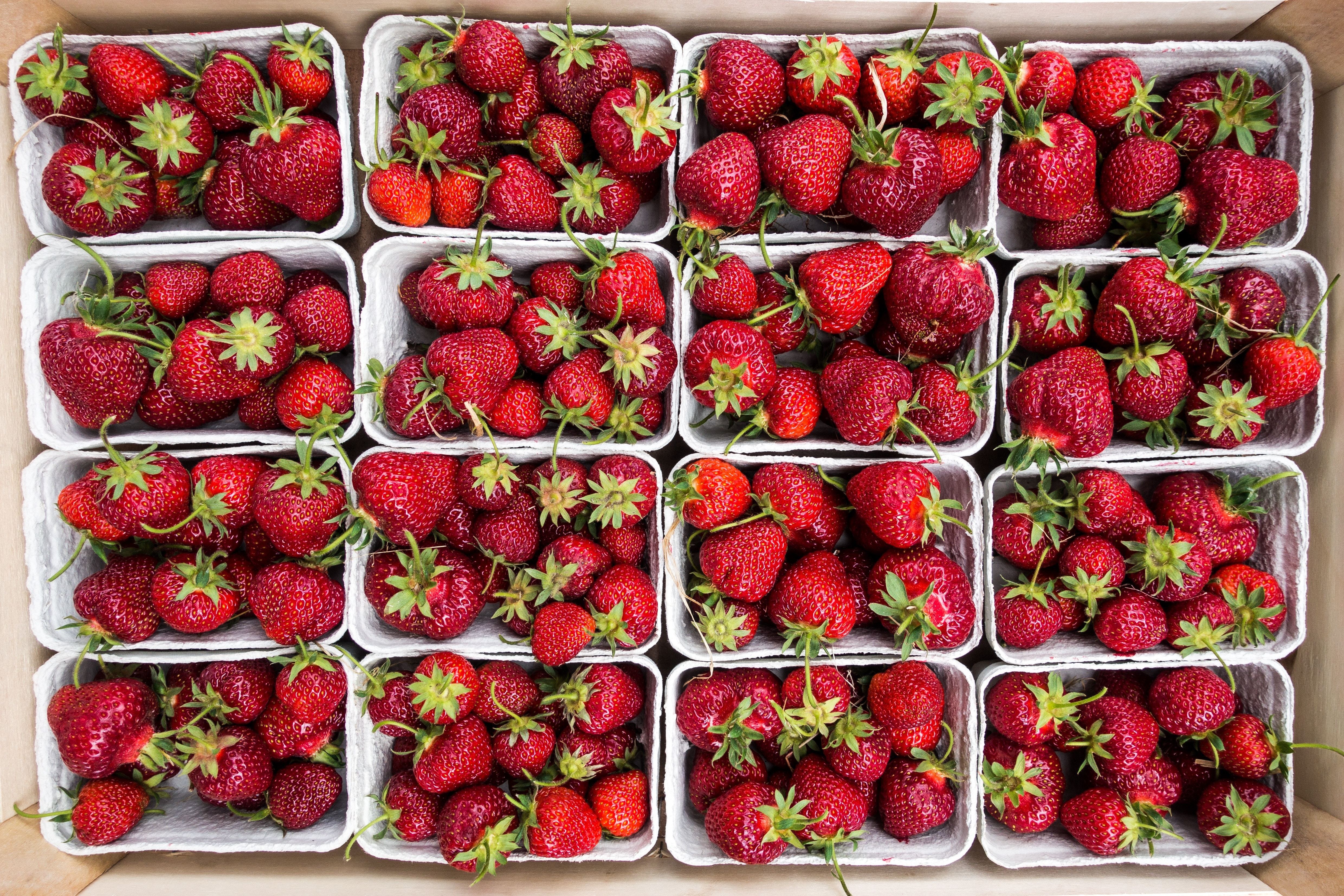Fresh strawberries in containers