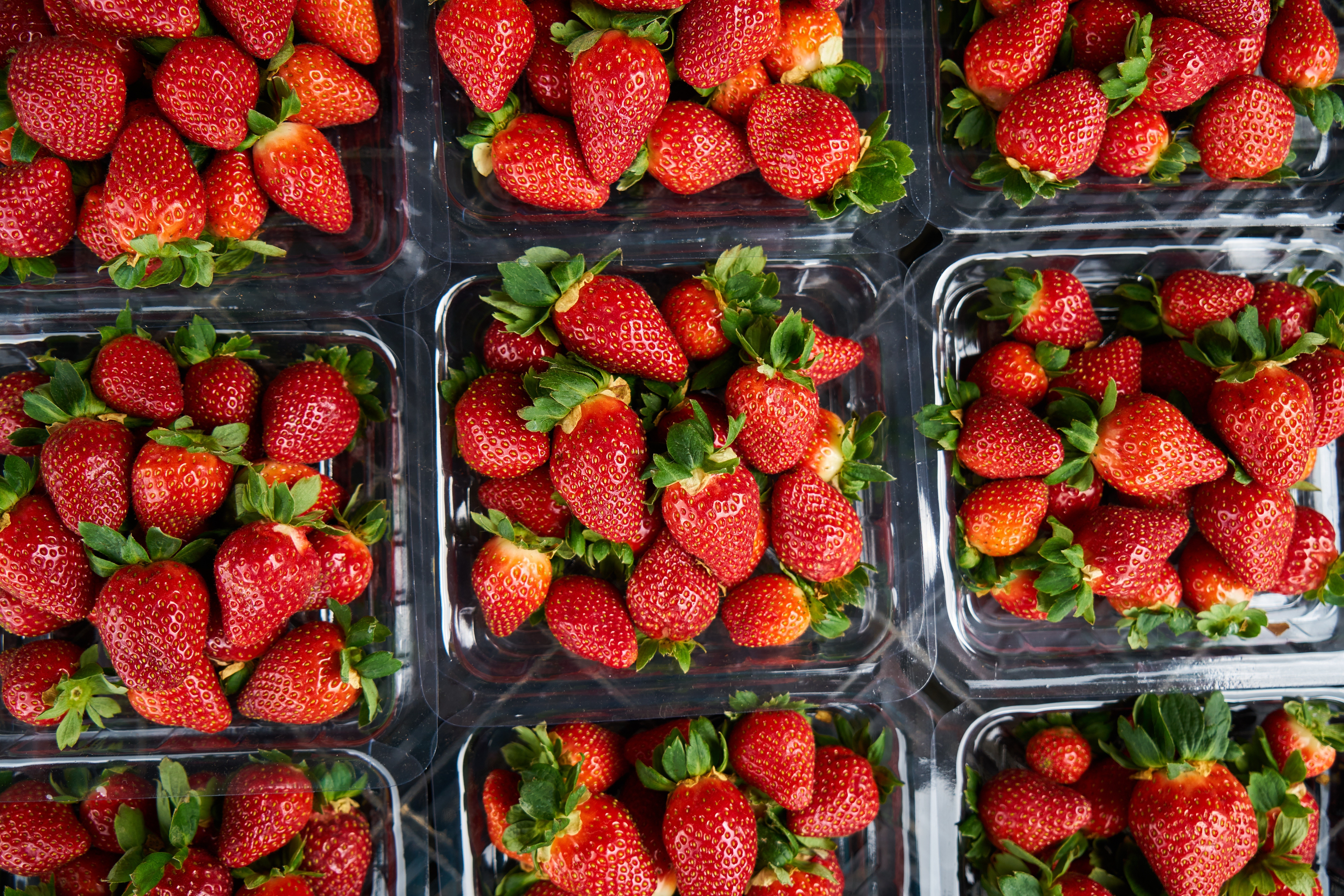Fresh strawberries in containers