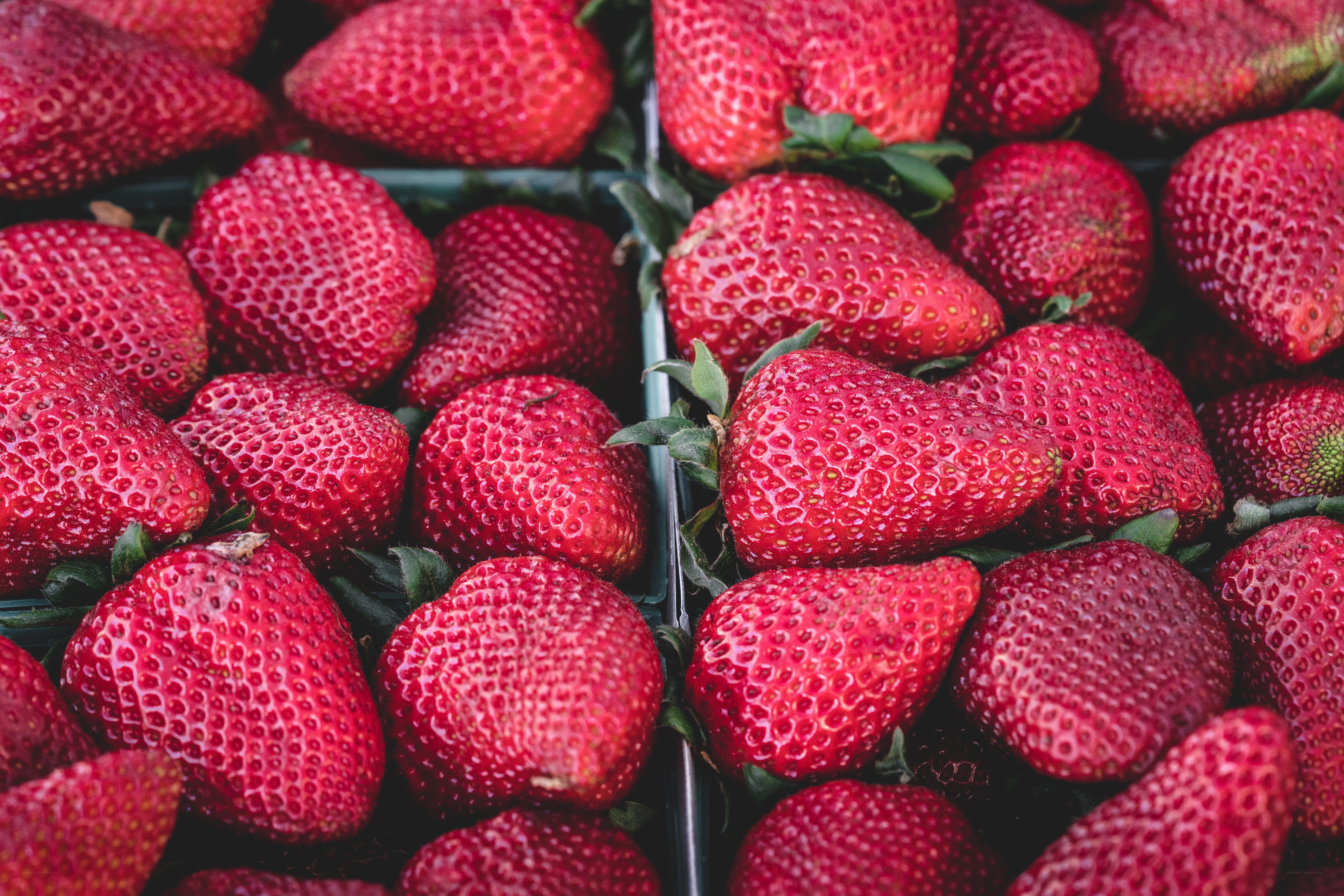 Fresh strawberries in containers
