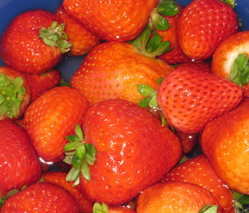 Fresh Strawberries in Water — Red