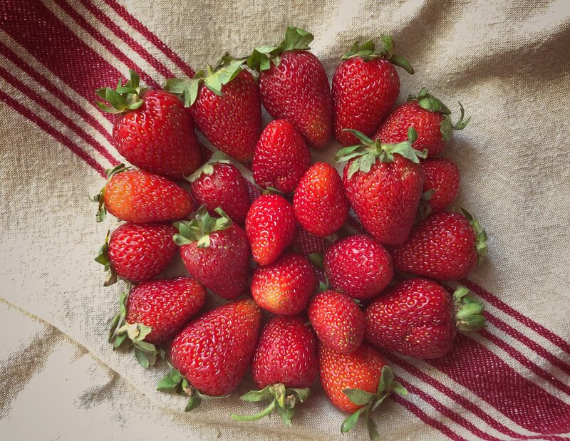 Fresh Strawberries on Cloth