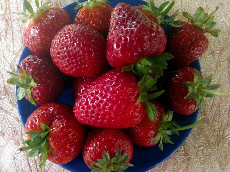 Fresh Strawberries on Plate — Red, Natural