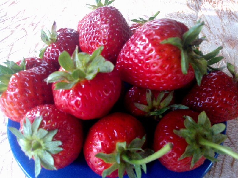 Fresh Strawberries on Plate — Red