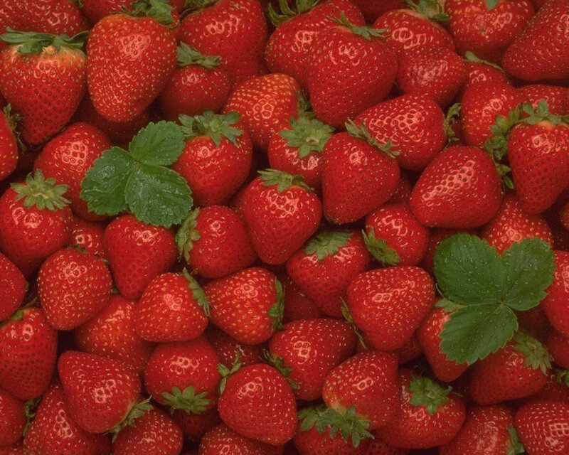 Fresh Strawberries — Red, Natural