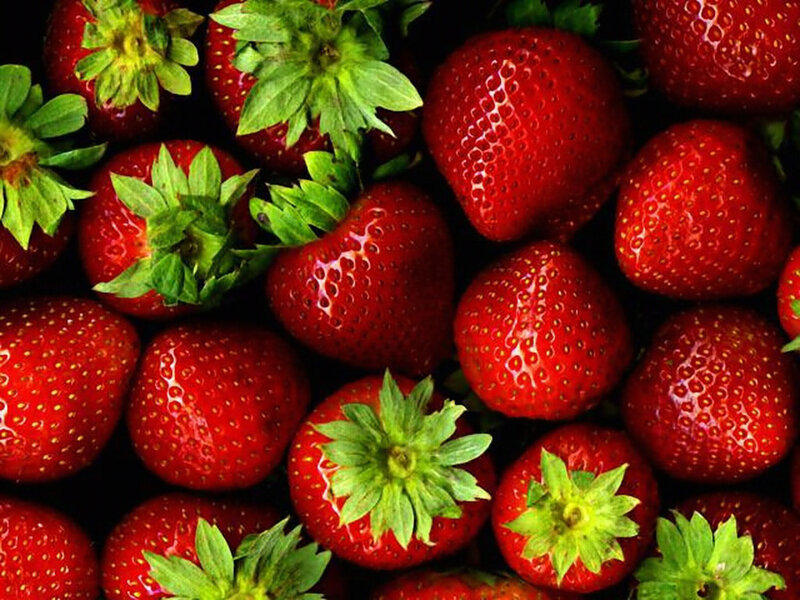Fresh Strawberries — Red