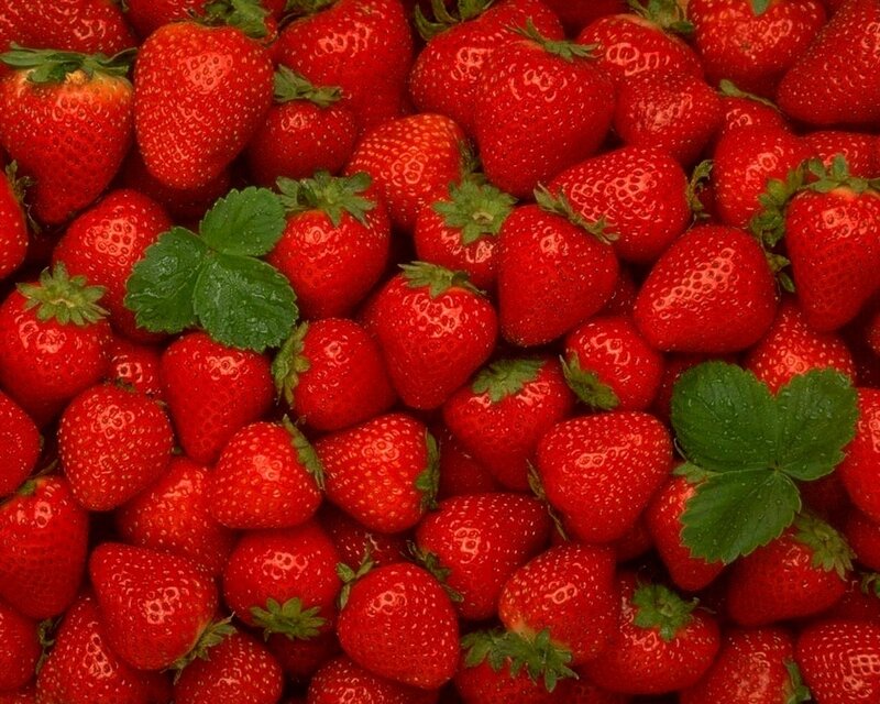 Fresh Strawberries — Red, Vibrant