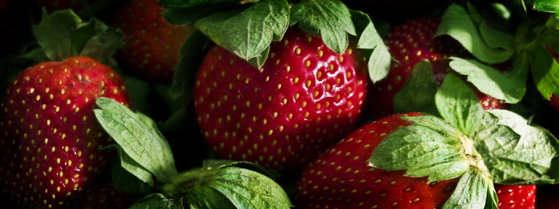 Fresh strawberries with green leaves
