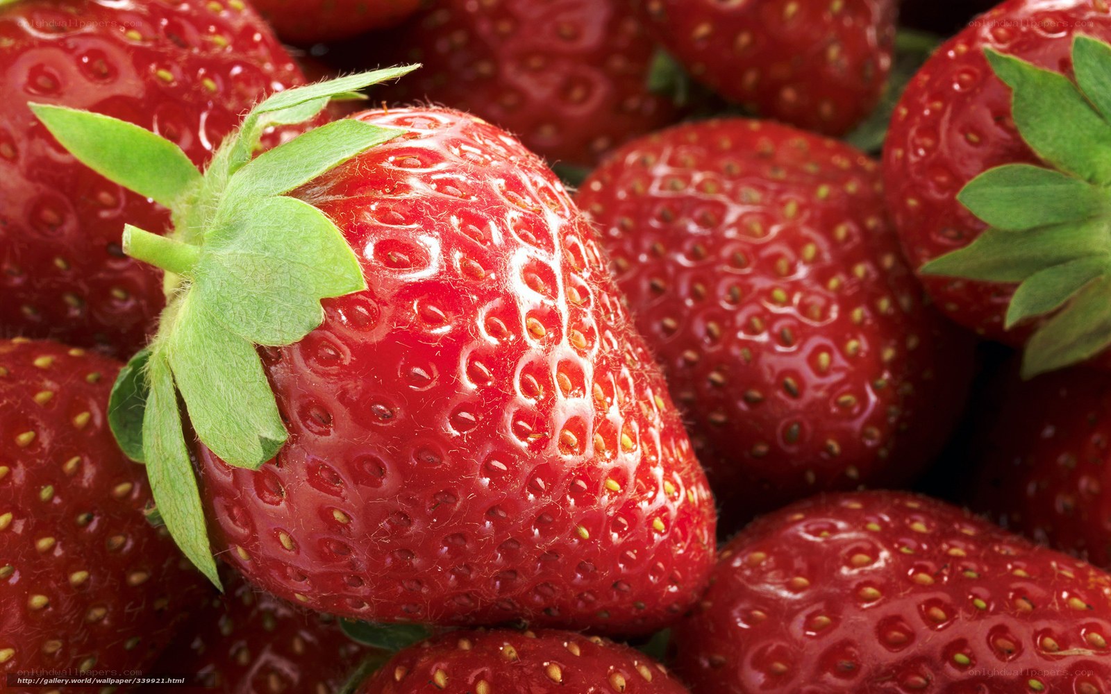 Fresh strawberries with green leaves