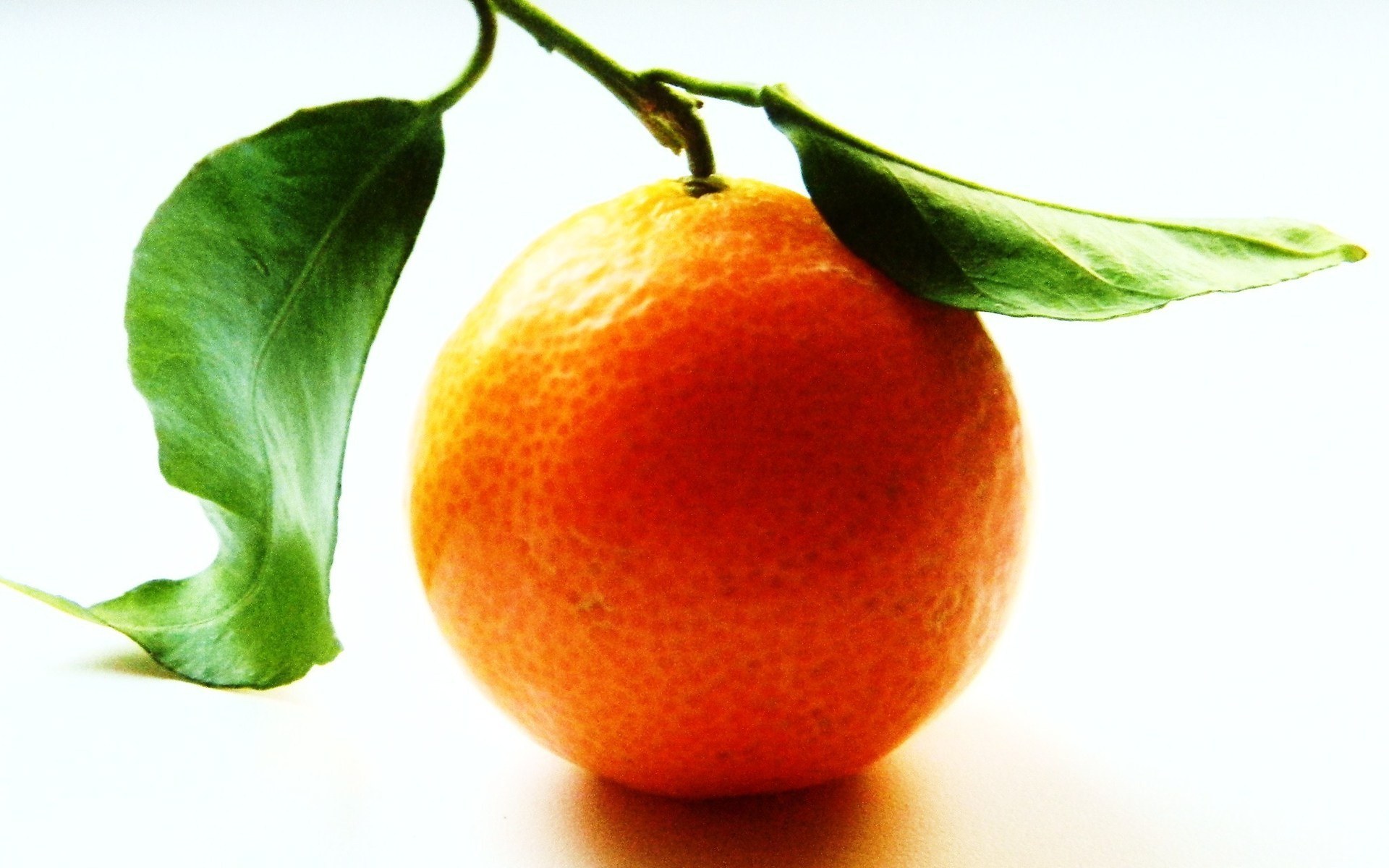 Fresh tangerine with leaves