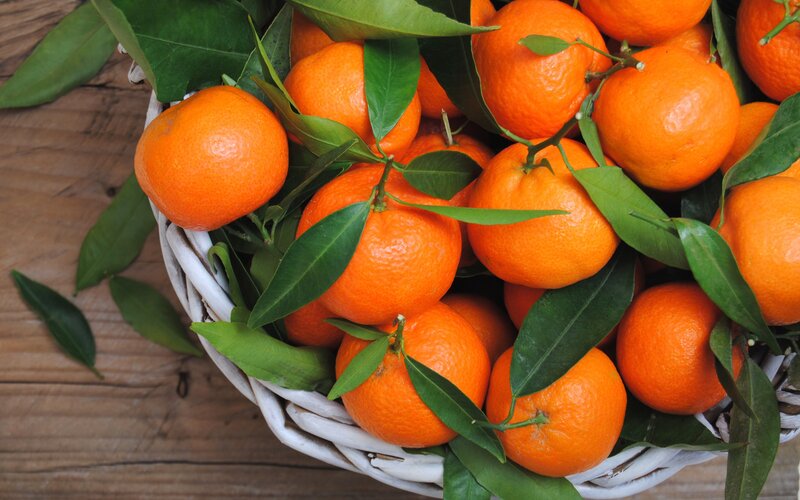 Fresh Tangerines in Basket