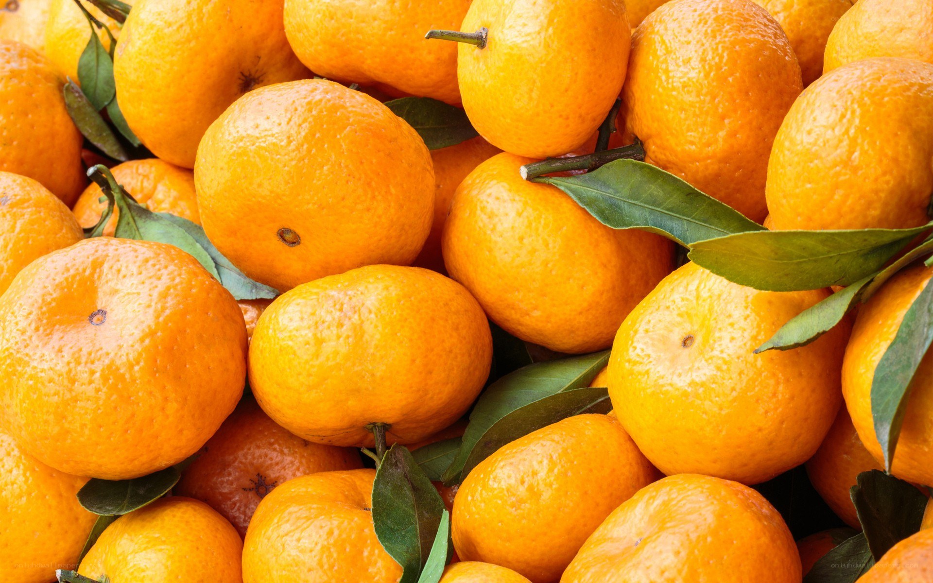 Fresh tangerines with leaves