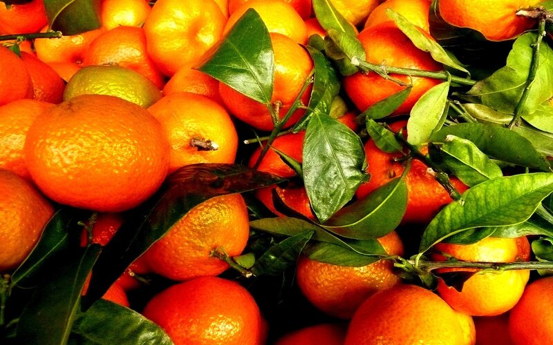 Fresh Tangerines with Leaves — Orange, Vibrant