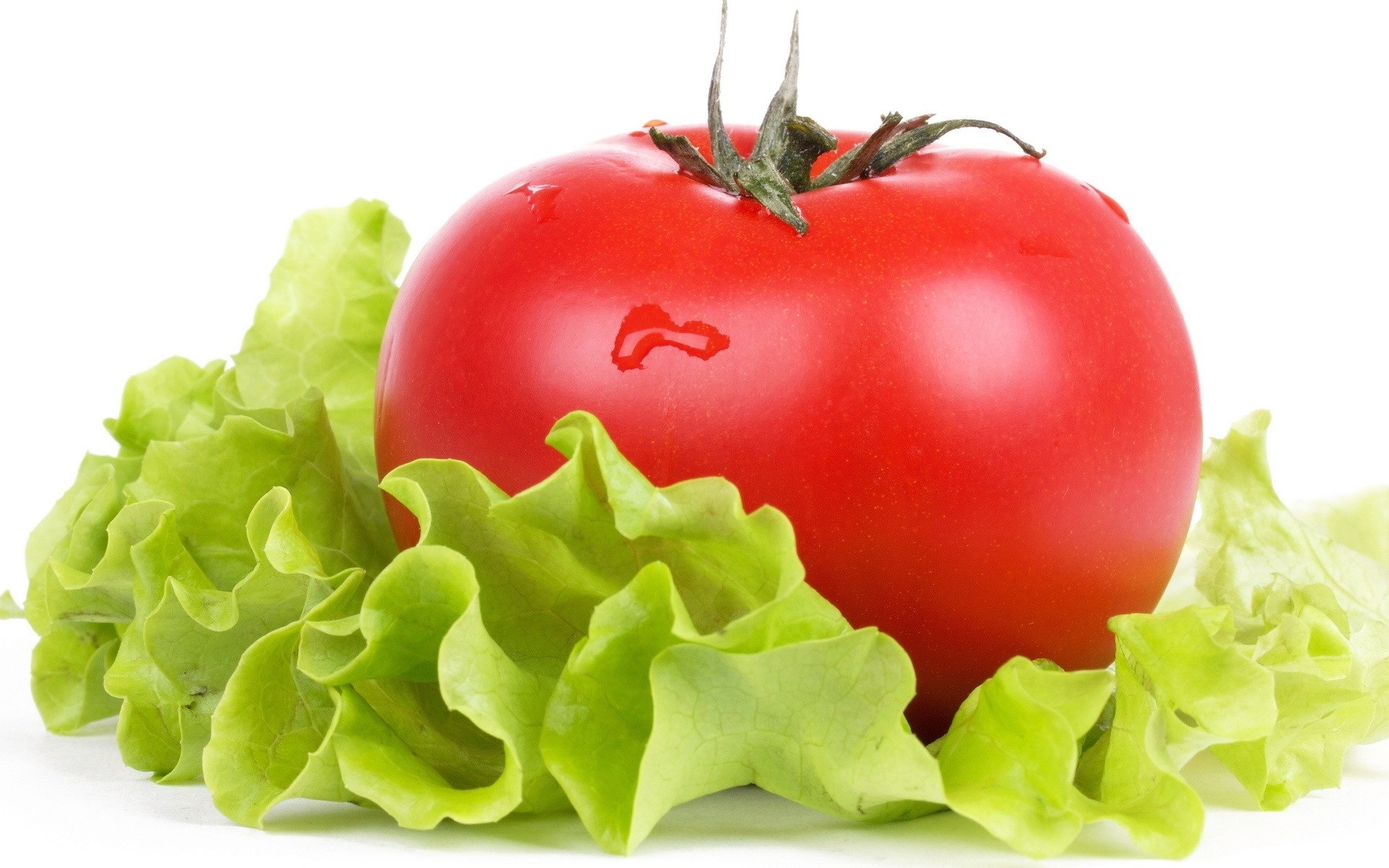 Fresh tomato and lettuce