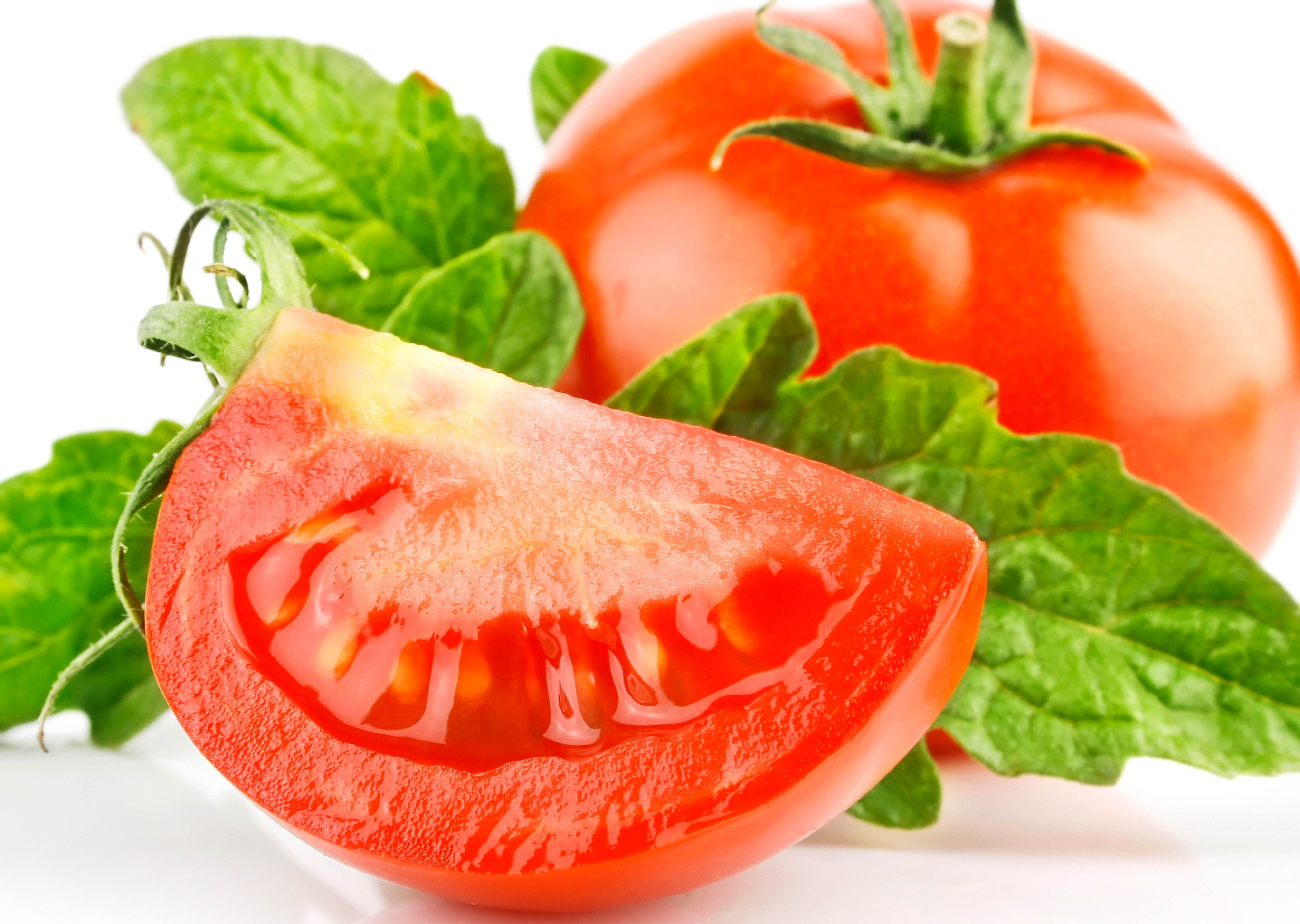 fresh tomato with basil leaves
