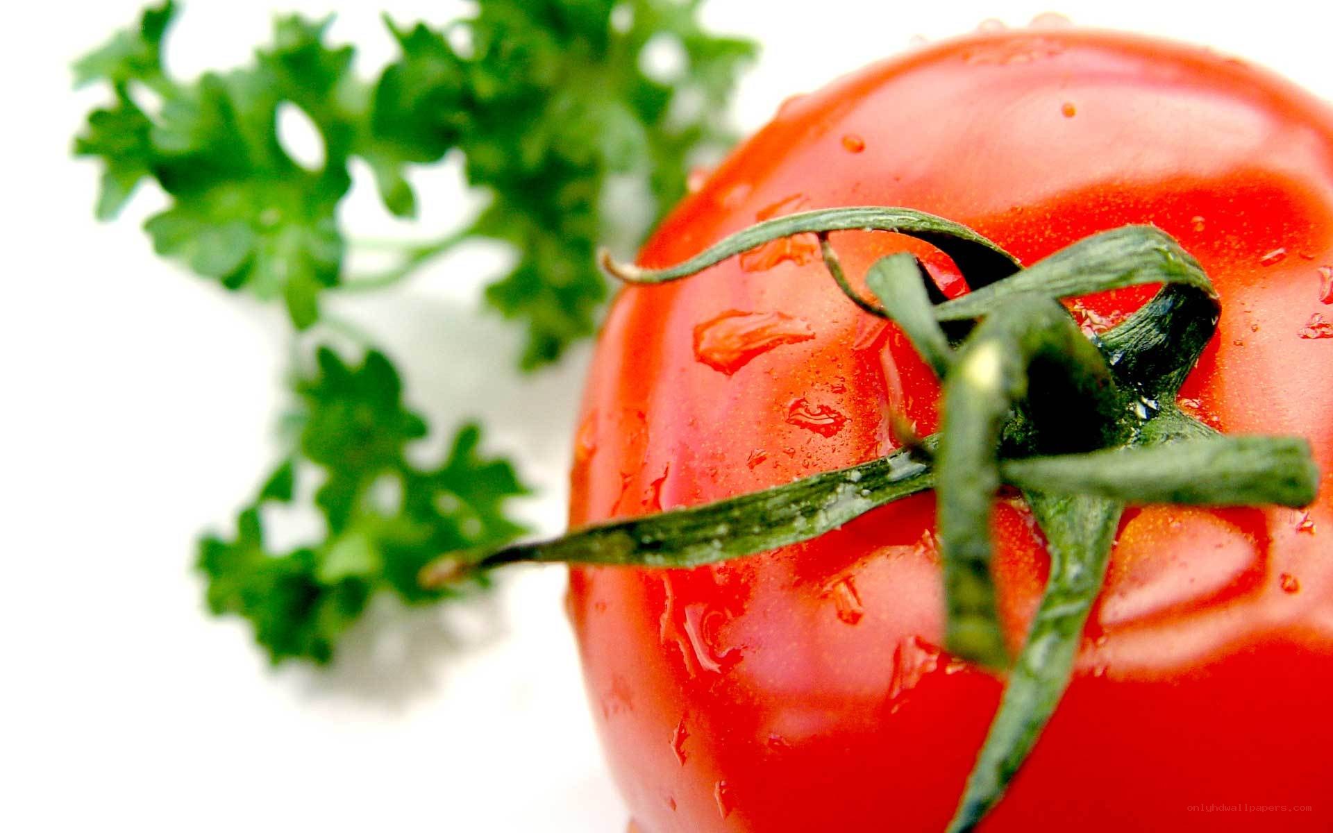 fresh tomato with parsley