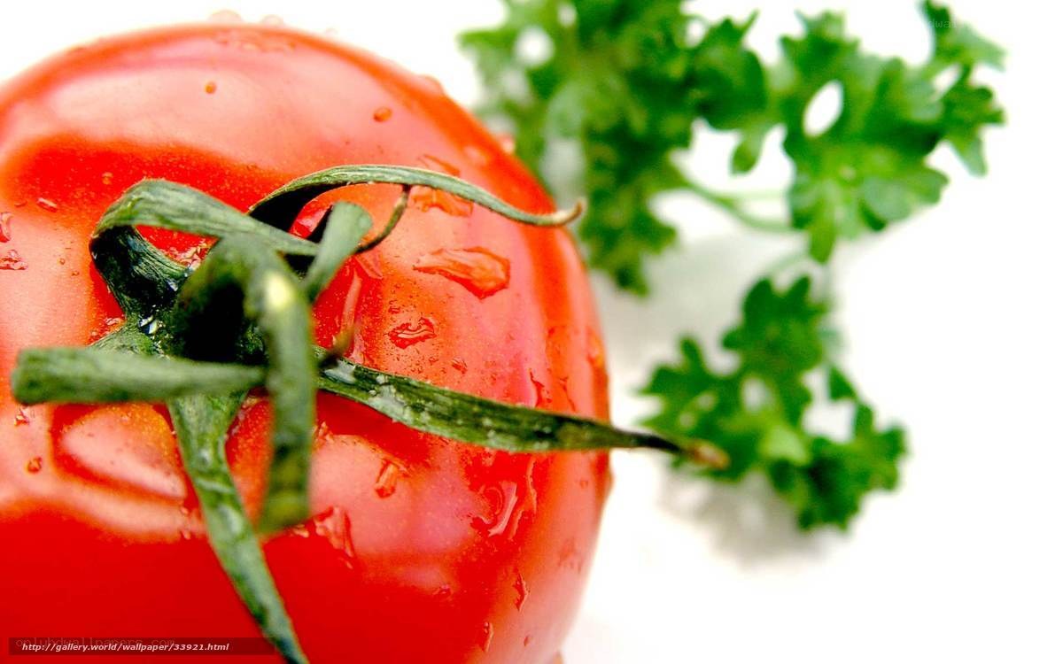 fresh tomato with parsley