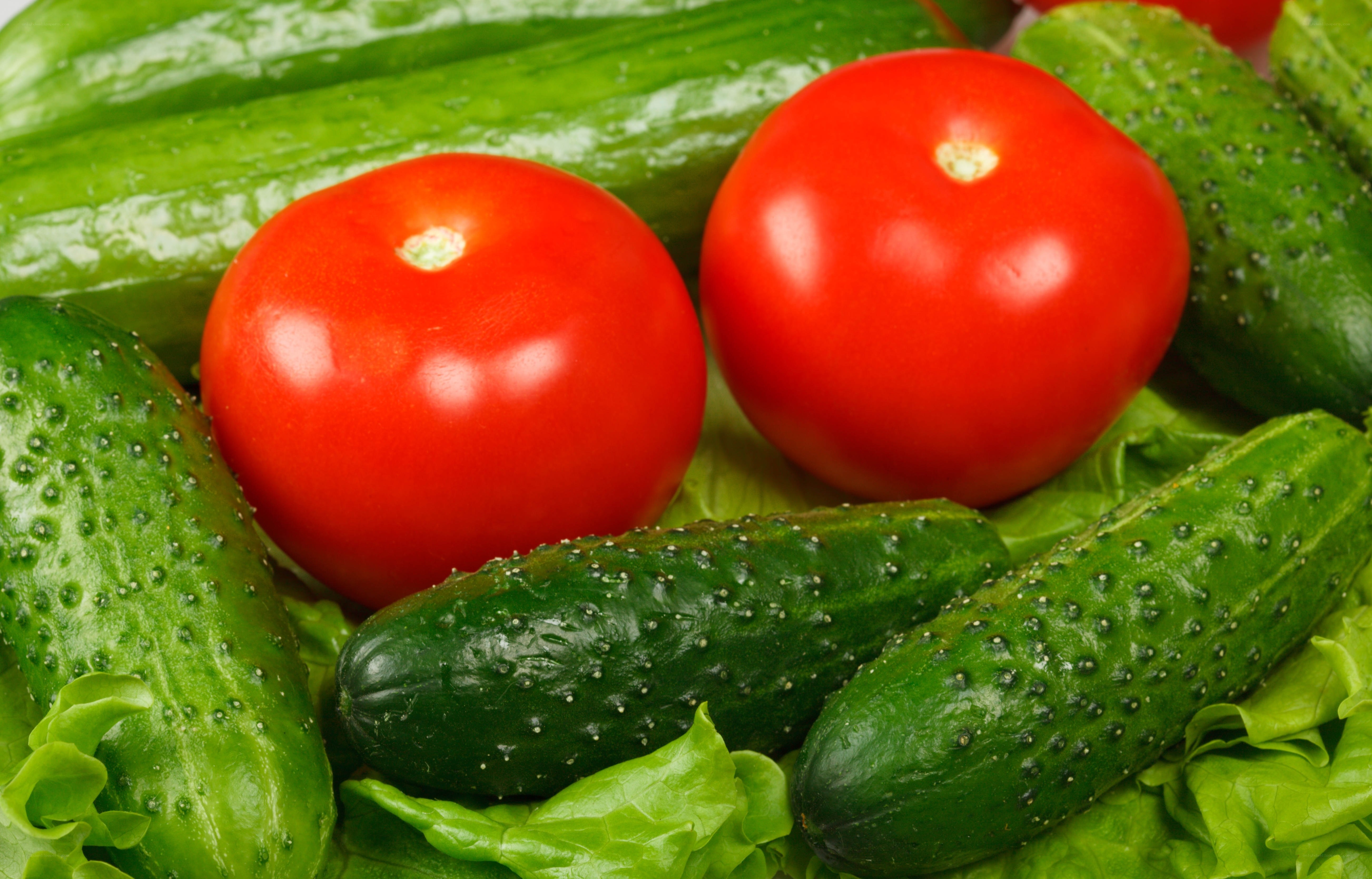 Fresh tomatoes and cucumbers