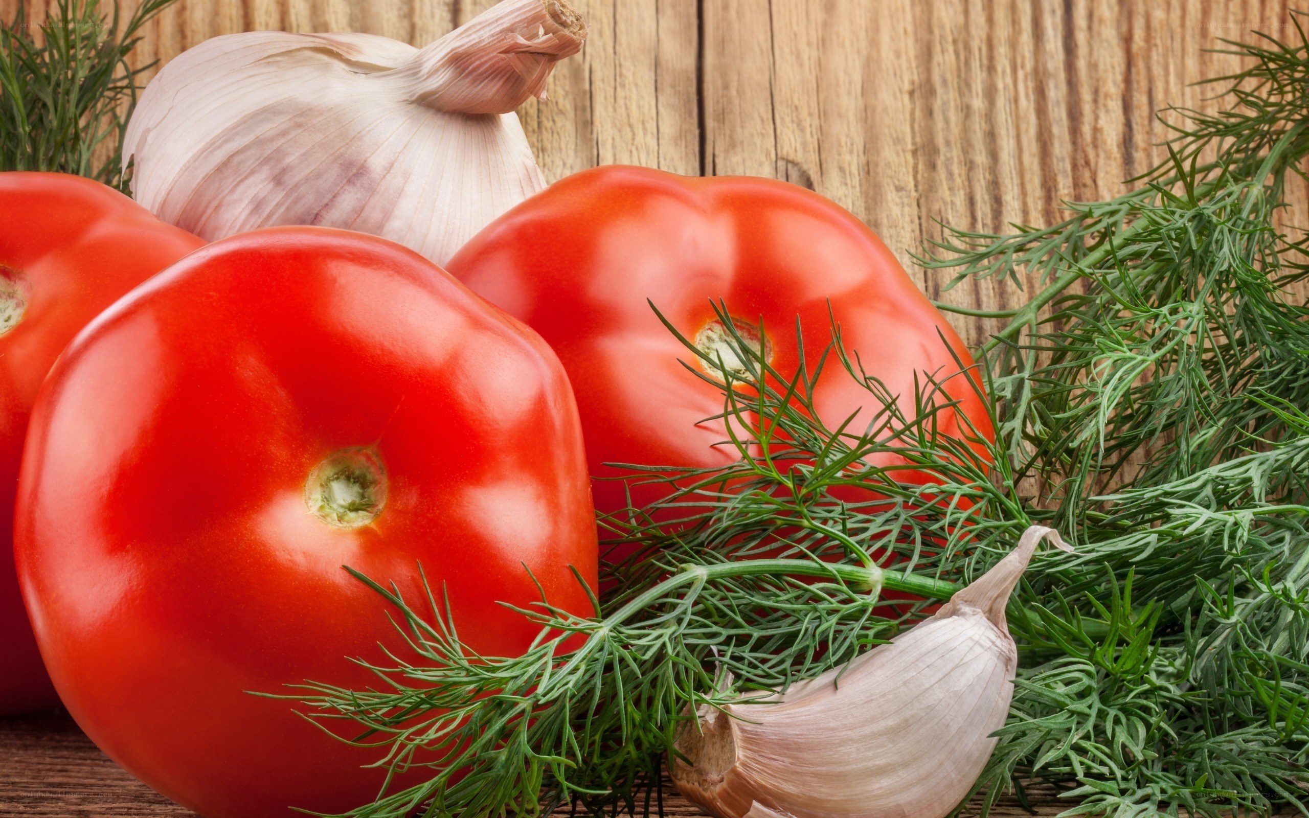 Fresh tomatoes and herbs