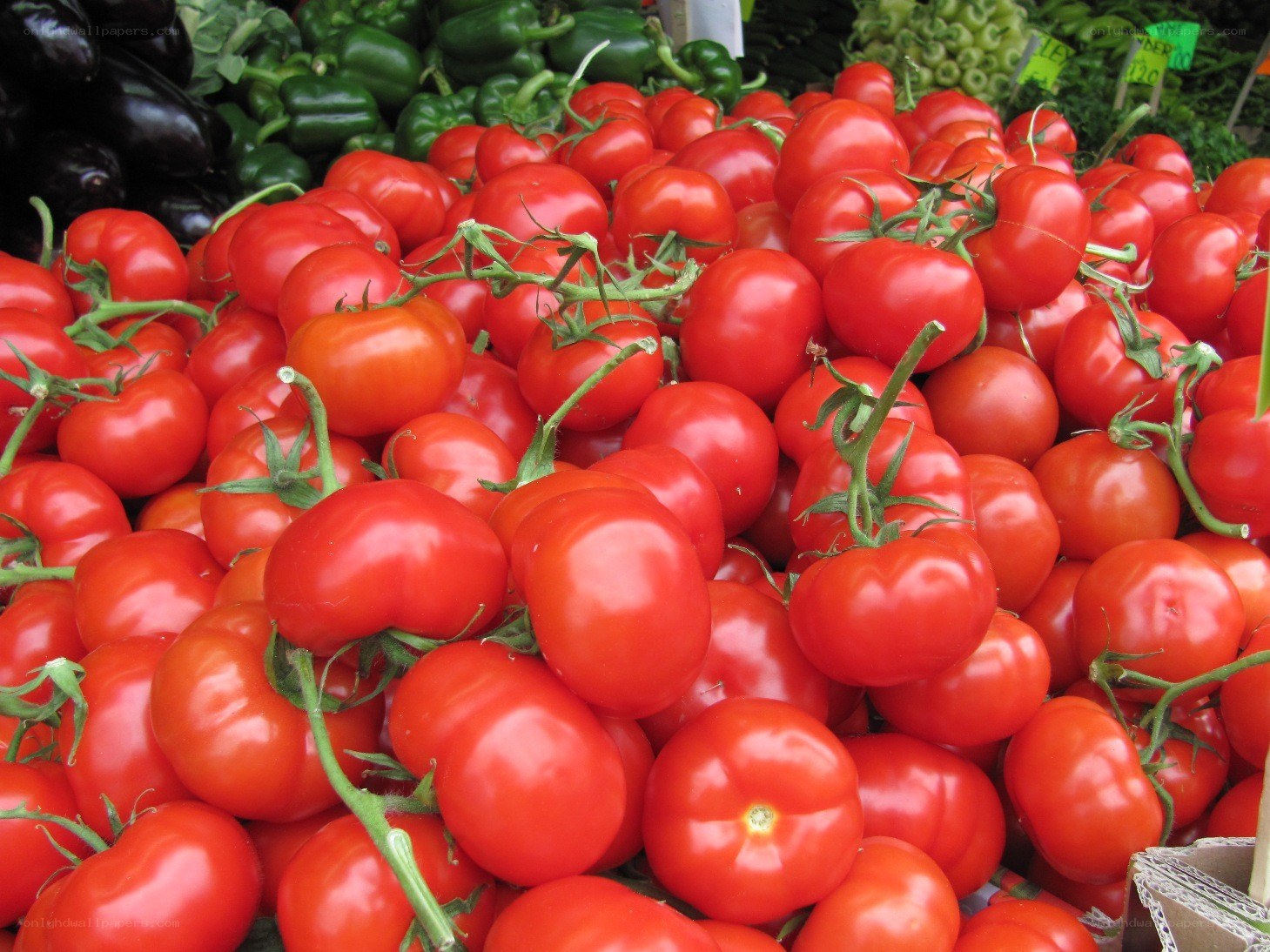 Fresh tomatoes at a market