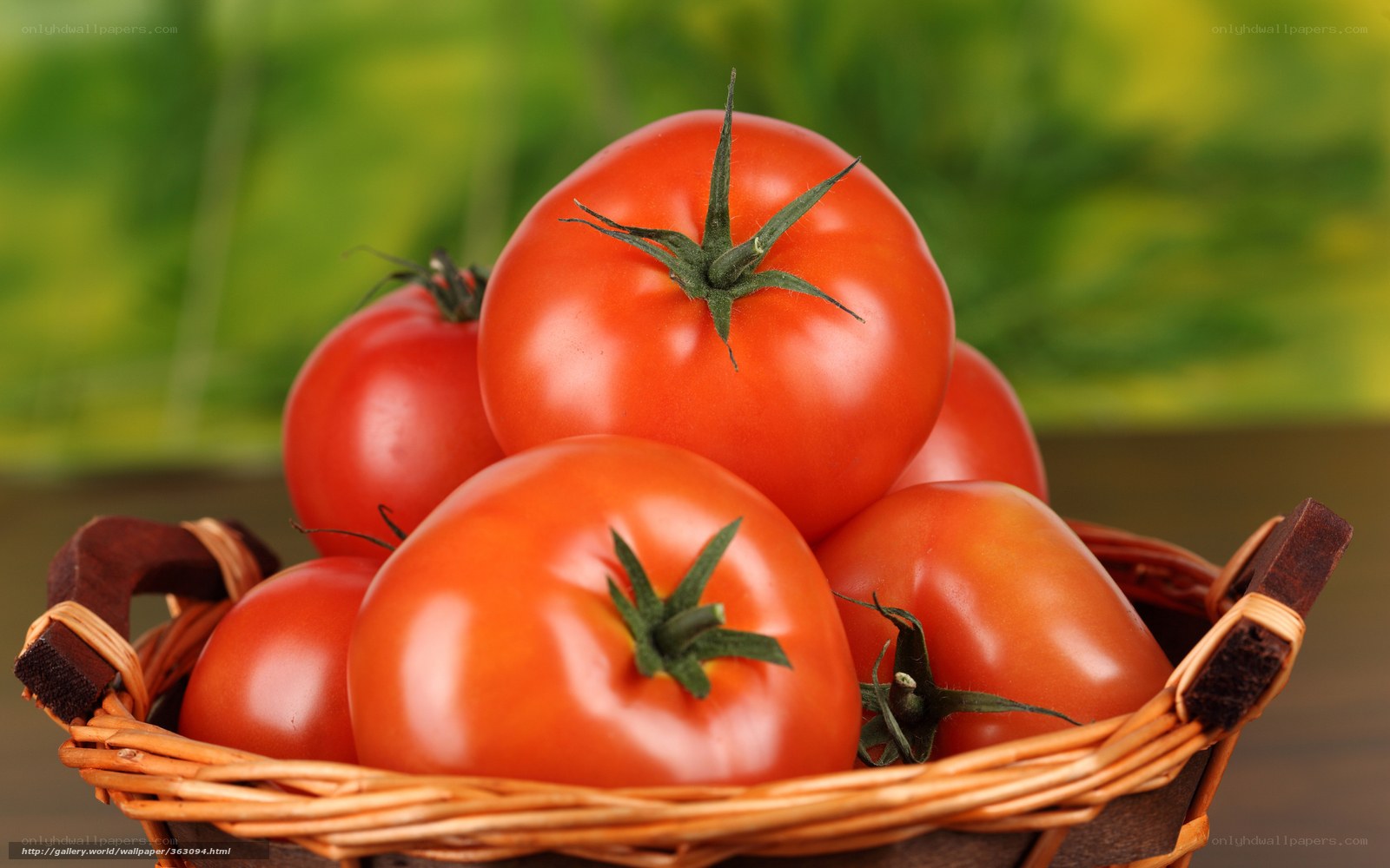 Fresh tomatoes in a basket