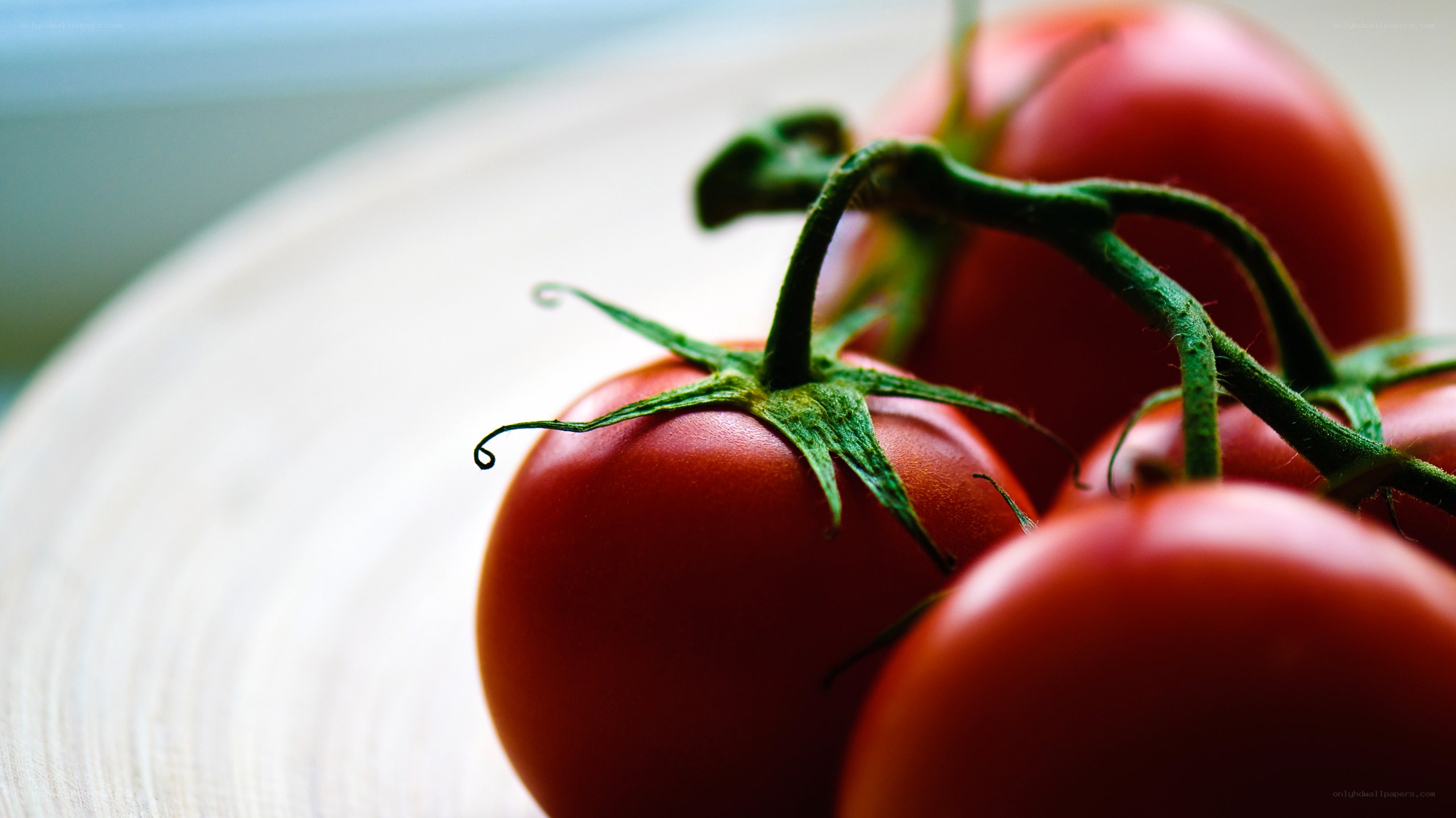 Fresh tomatoes on a vine