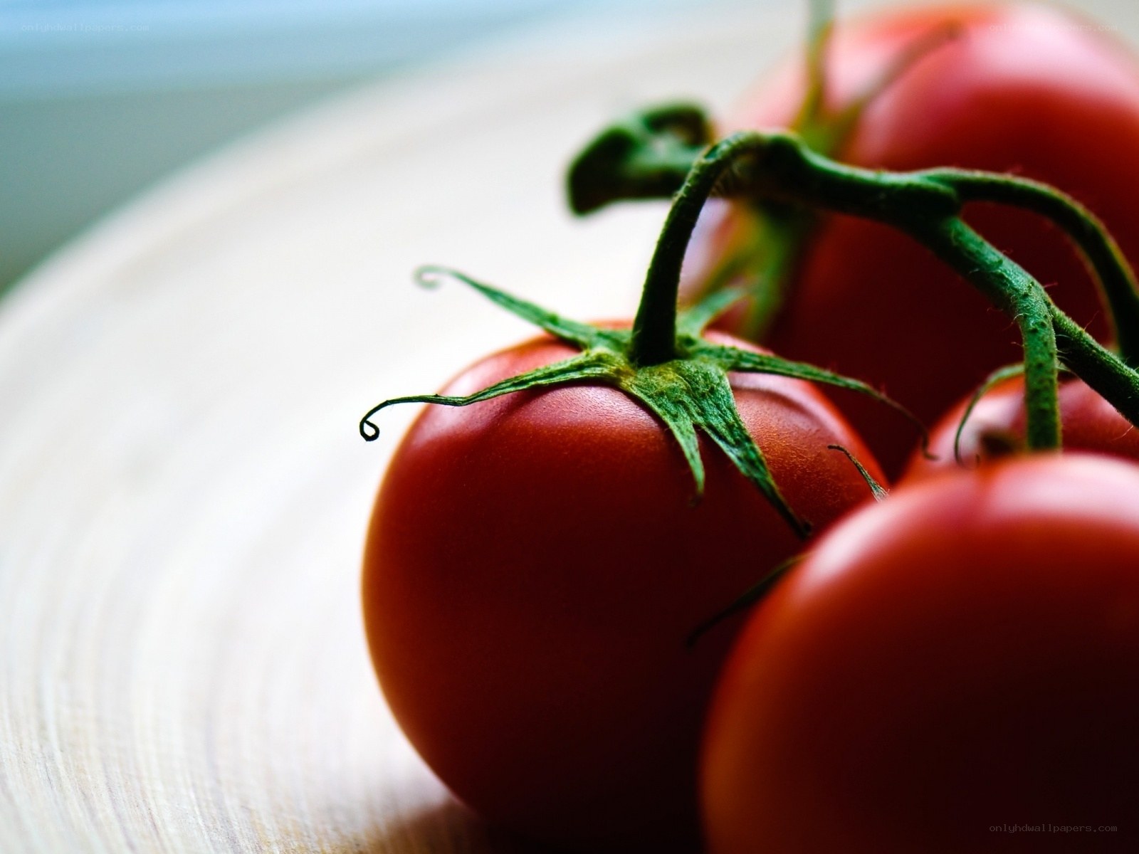 Fresh tomatoes on a vine
