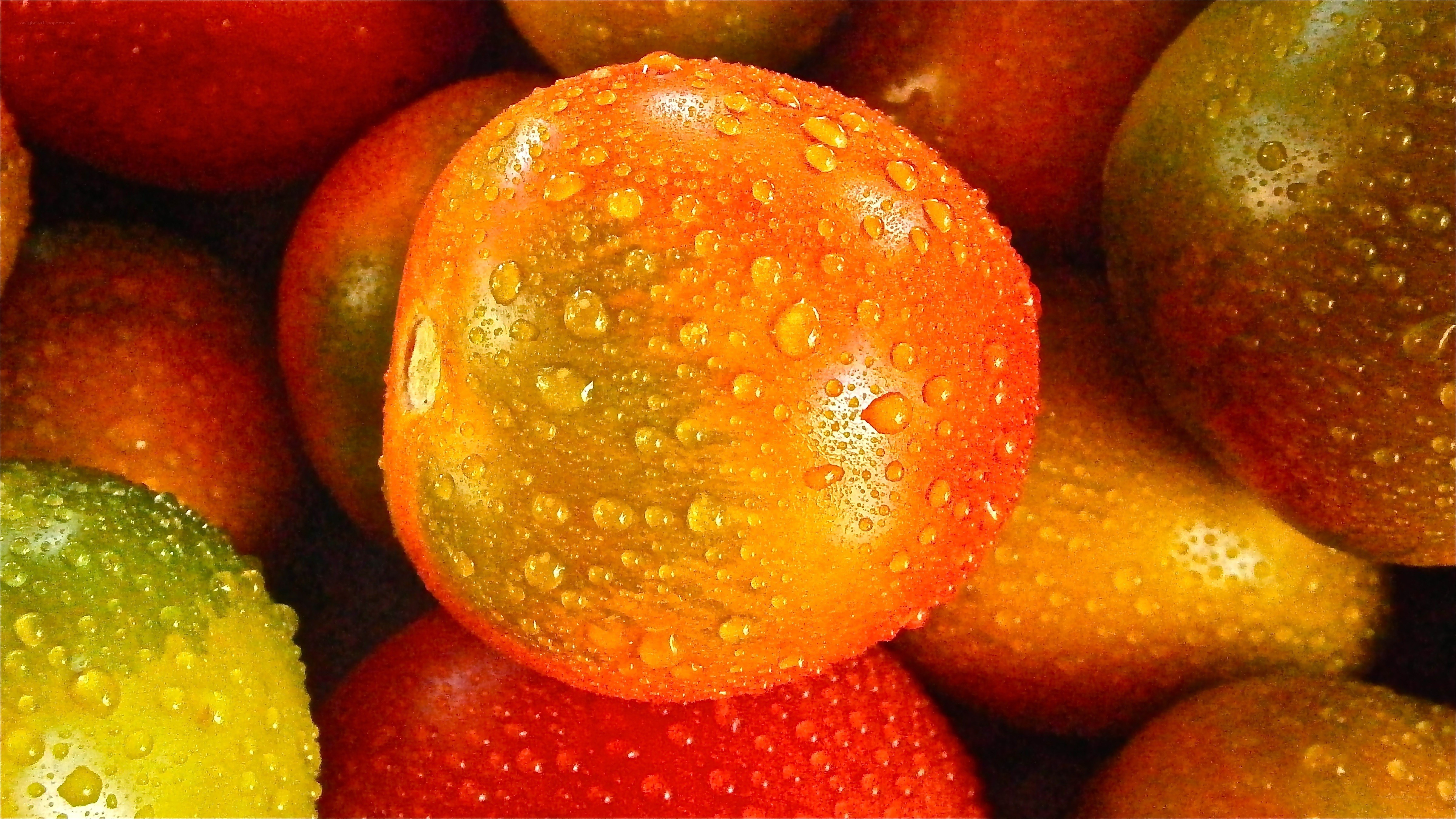 Fresh tomatoes with water droplets